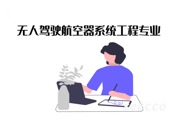 无人驾驶航空器系统工程