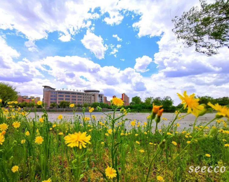 辽宁石油化工大学