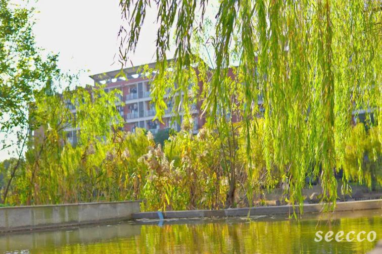 沙洲职业工学院