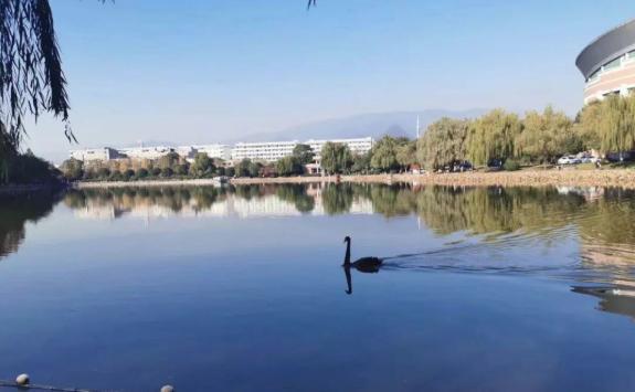 浙江师范大学