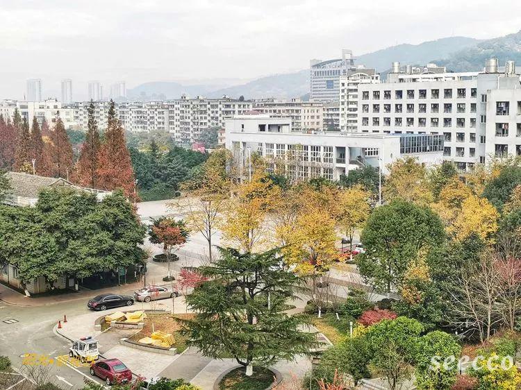 温州科技职业学院
