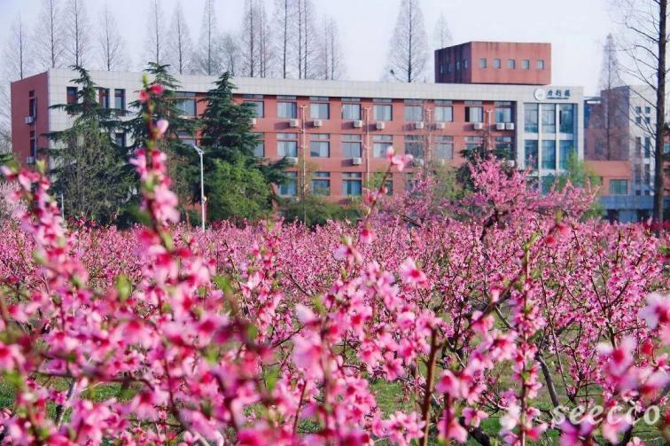 皖西学院