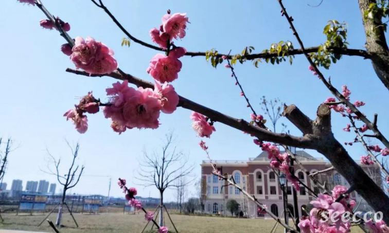 安徽医科大学临床医学院