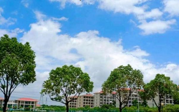 合肥信息技术职业学院