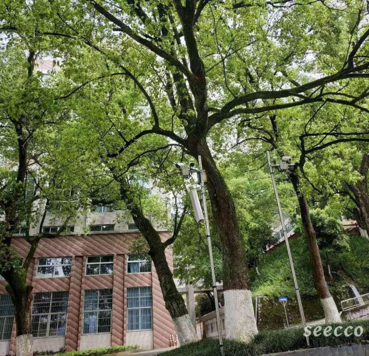 三明医学科技职业学院