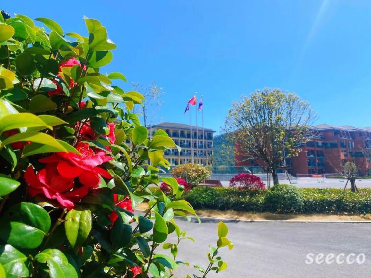 和君职业学院
