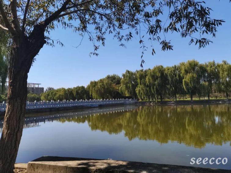 聊城大学