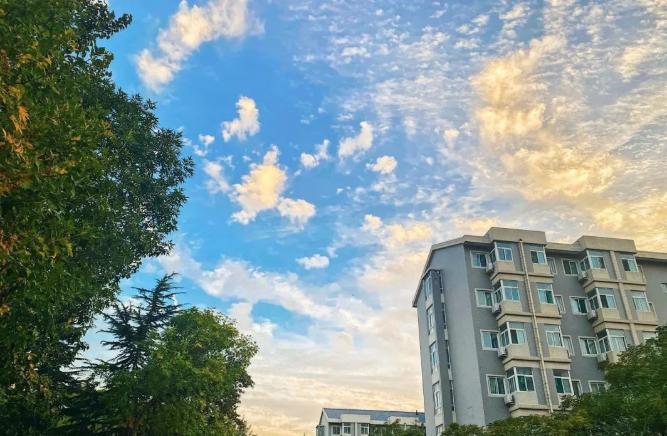 山东财经大学