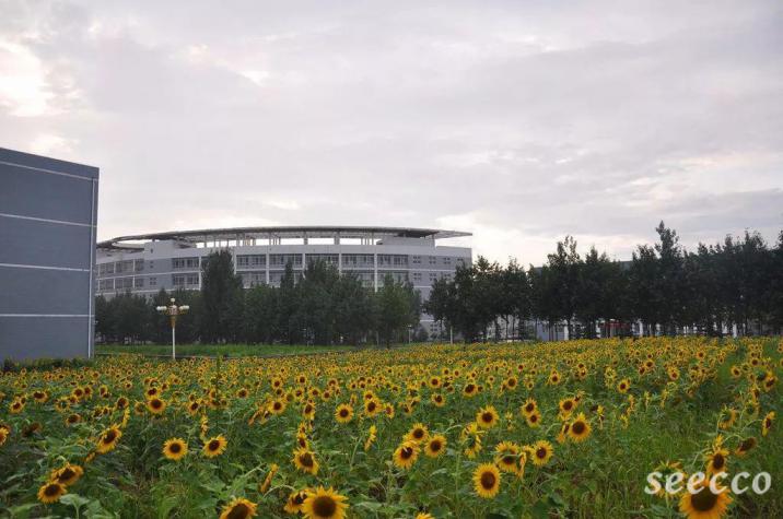 山东电子职业技术学院