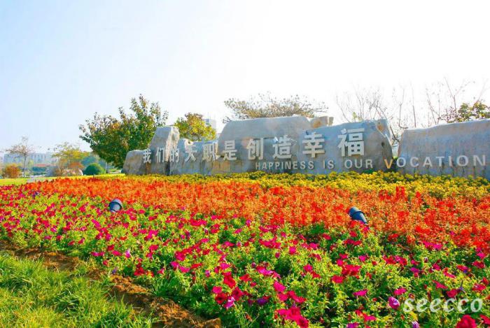山东旅游职业学院