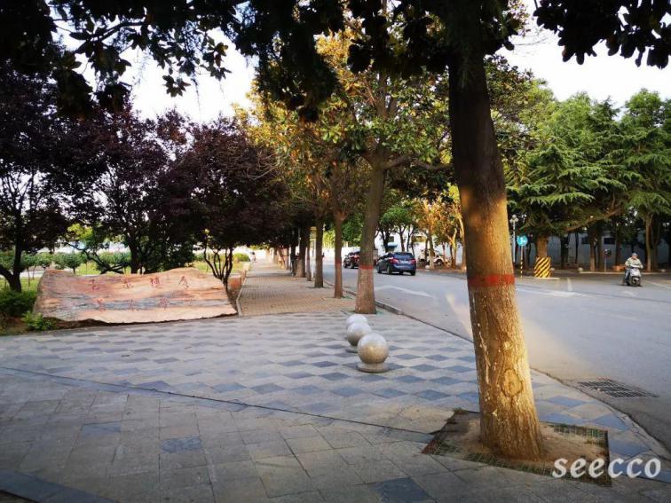 南阳理工学院