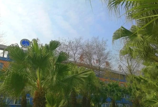长江职业学院