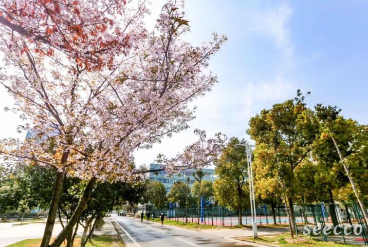仙桃职业学院