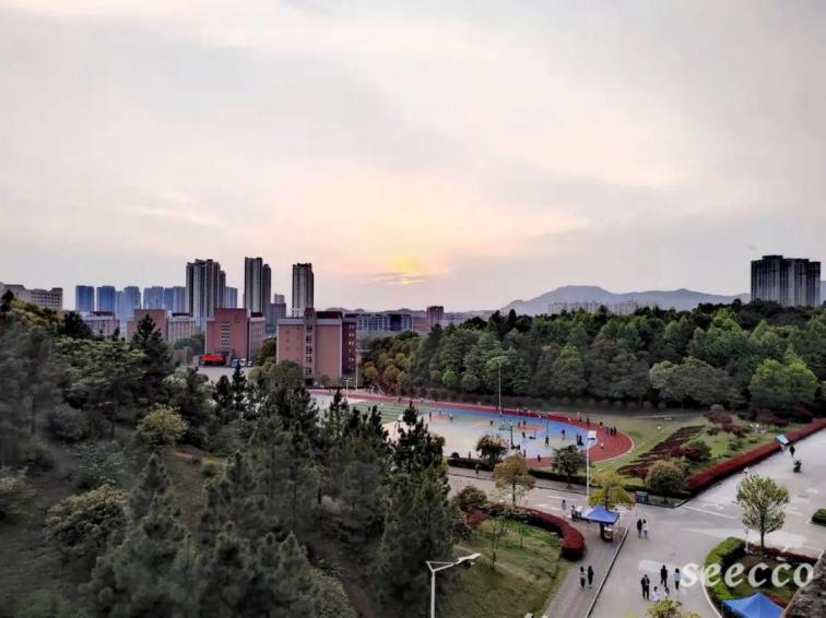 中南林业科技大学涉外学院