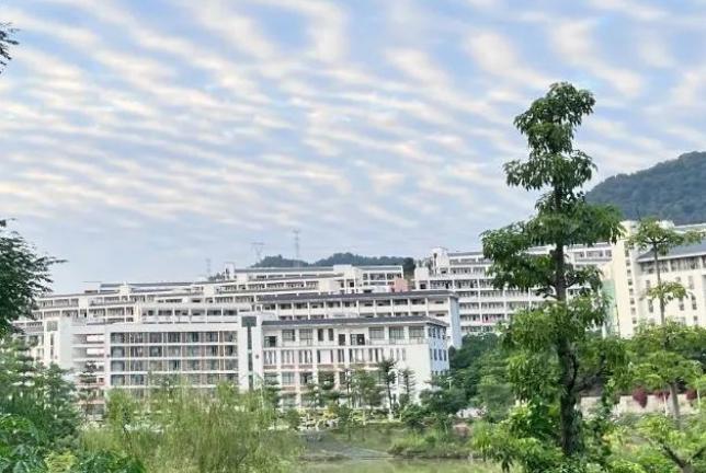百色学院