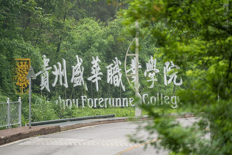 贵州盛华职业学院